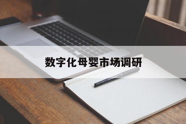 吉安市数字化母婴市场调研(数字化母婴市场调研报告)